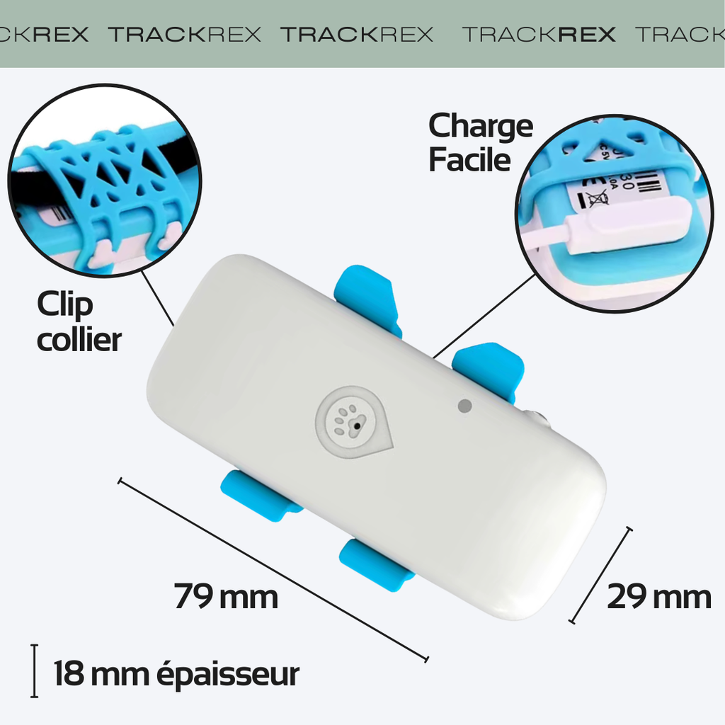 Collier GPS pour chien avec suivi via application mobile – historique des trajets