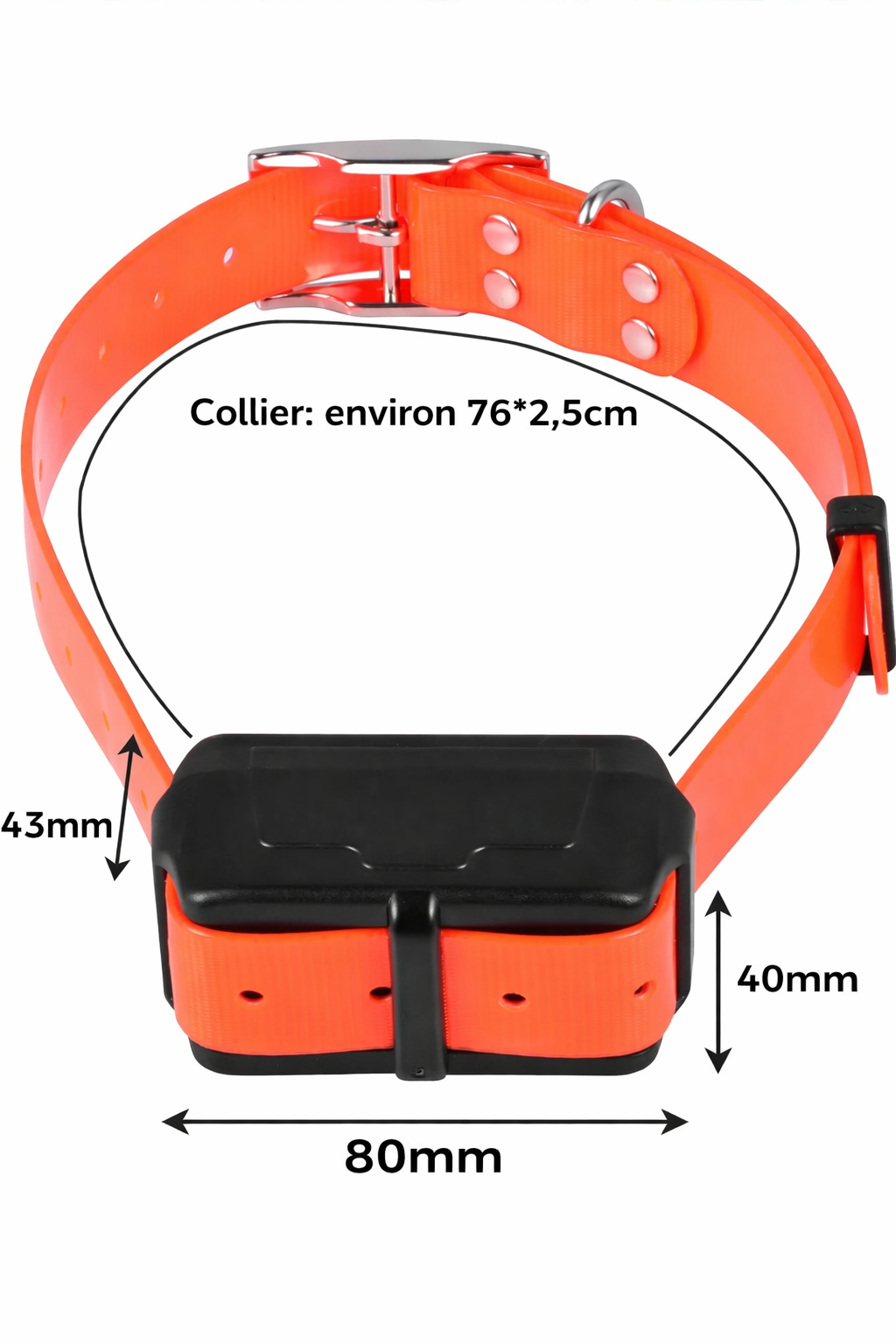 Collier GPS pour chien – Localisation via application et zone de sécurité