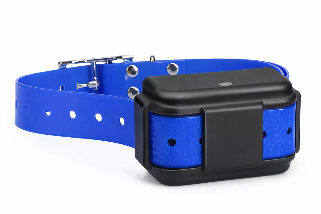 Collier GPS pour chien – Localisation via application et zone de sécurité