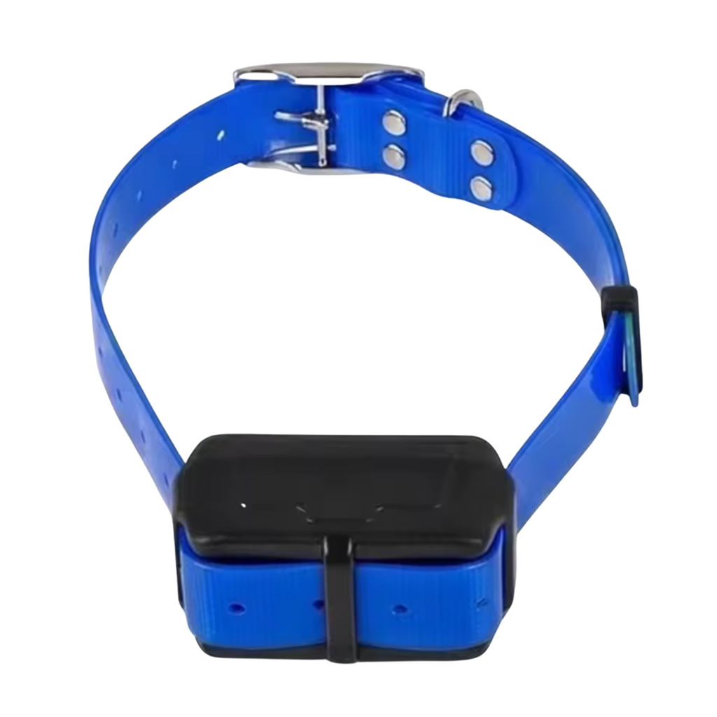 Collier GPS pour chien – Localisation via application et zone de sécurité