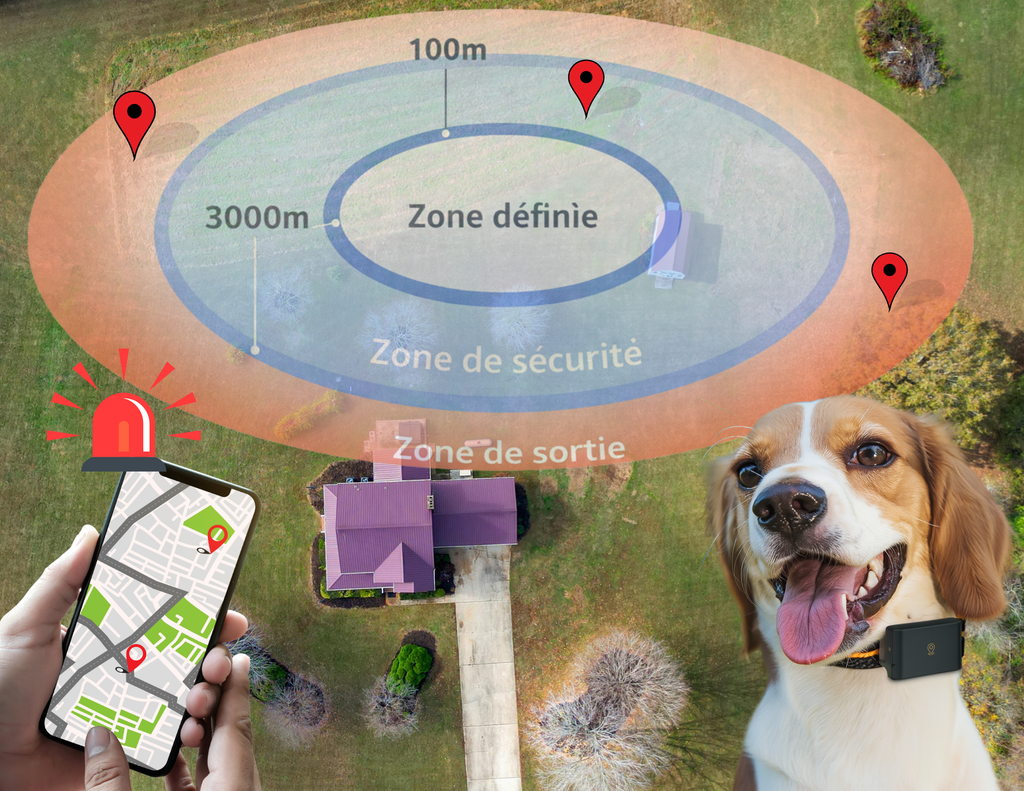 Traceur GPS pour Chiens et chats