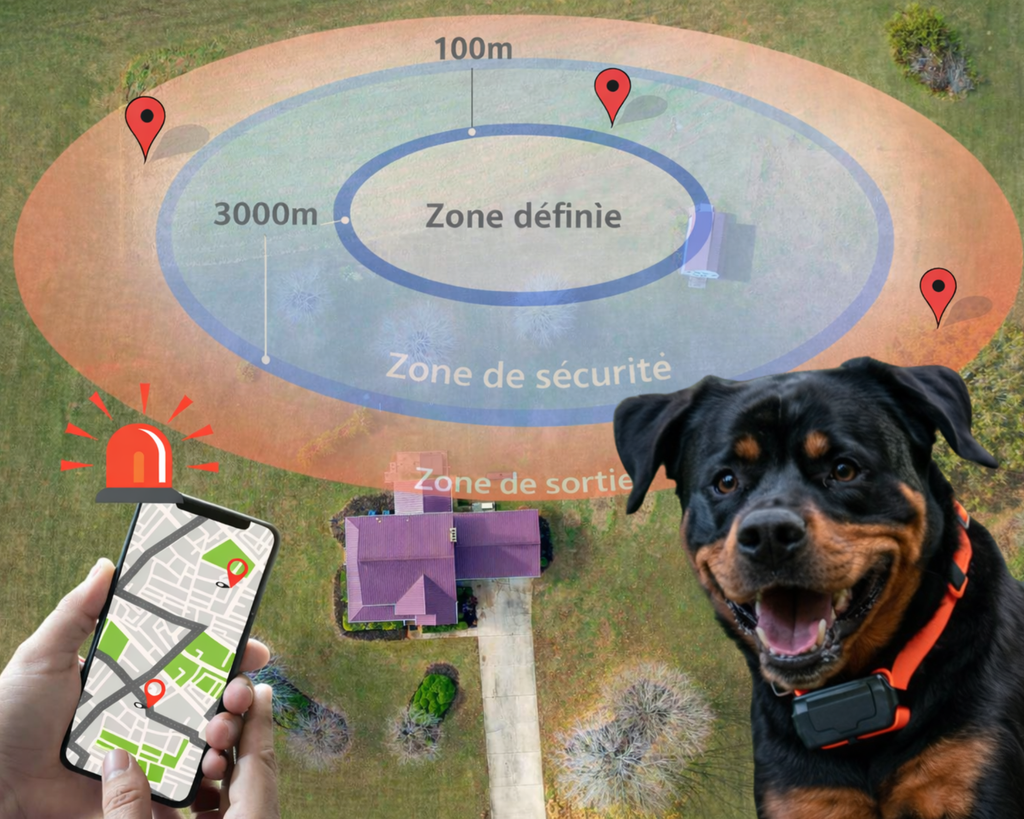 Collier GPS pour chien – Localisation via application et zone de sécurité