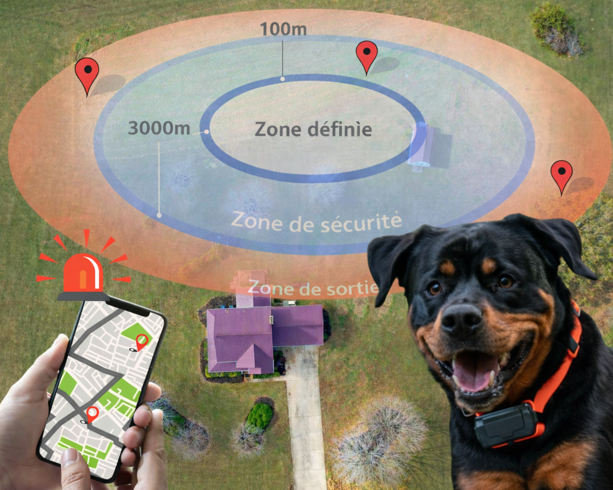Collier GPS pour chien – Localisation via application et zone de sécurité