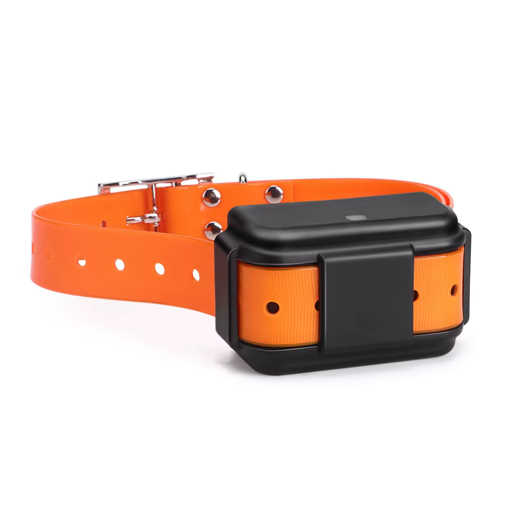 Collier GPS pour chien – Localisation via application et zone de sécurité