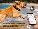 Traceur GPS pour Chiens et chats