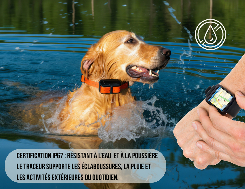 Collier GPS pour chien – Localisation via application et zone de sécurité