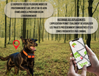 Collier GPS pour chien – Localisation via application et zone de sécurité