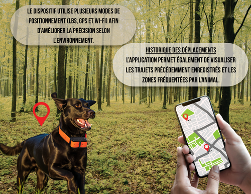 Collier GPS pour chien – Localisation via application et zone de sécurité